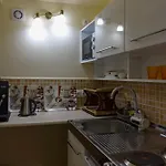 Erika Mini דירה
